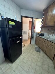 Dover Parkview (D5), Condominium #496306871